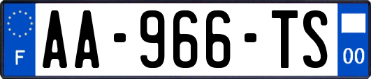 AA-966-TS