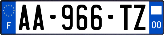 AA-966-TZ