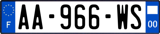 AA-966-WS