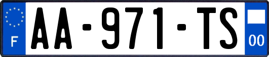 AA-971-TS