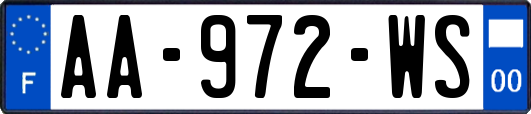 AA-972-WS