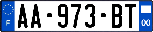 AA-973-BT