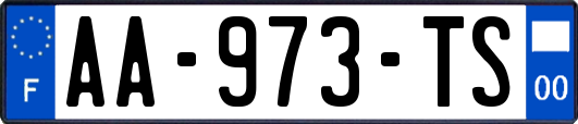 AA-973-TS