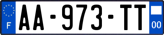 AA-973-TT