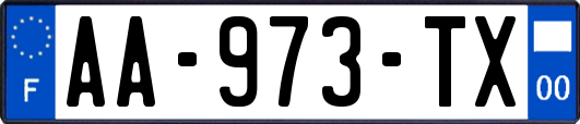 AA-973-TX