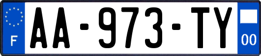 AA-973-TY