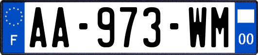 AA-973-WM