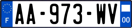 AA-973-WV