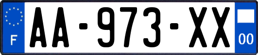 AA-973-XX