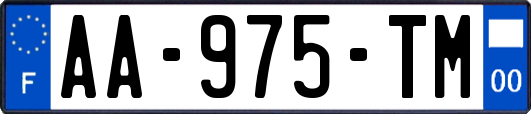 AA-975-TM