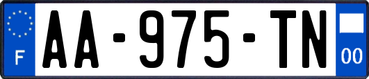 AA-975-TN