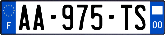 AA-975-TS