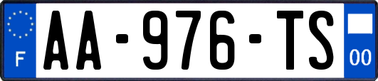 AA-976-TS