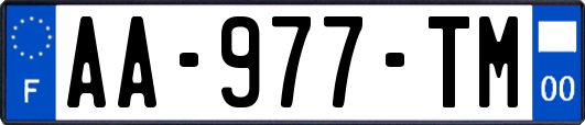 AA-977-TM