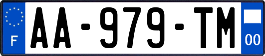 AA-979-TM