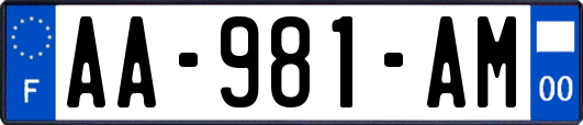 AA-981-AM