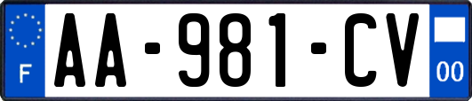 AA-981-CV