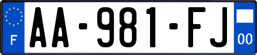 AA-981-FJ