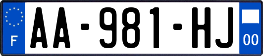 AA-981-HJ