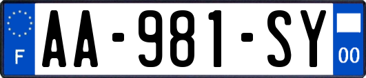 AA-981-SY