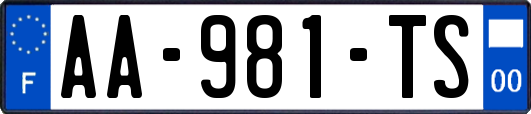 AA-981-TS