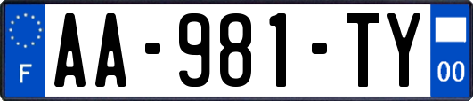 AA-981-TY