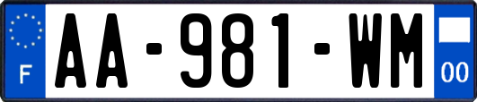 AA-981-WM