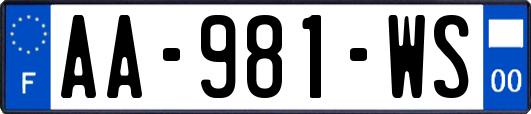 AA-981-WS