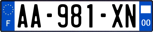 AA-981-XN