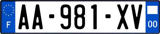 AA-981-XV