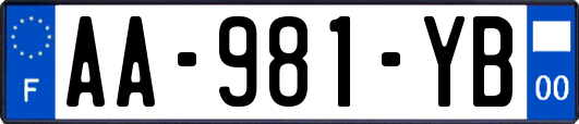 AA-981-YB