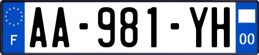 AA-981-YH