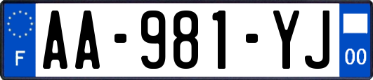 AA-981-YJ