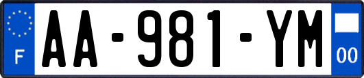 AA-981-YM