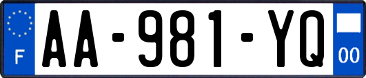 AA-981-YQ