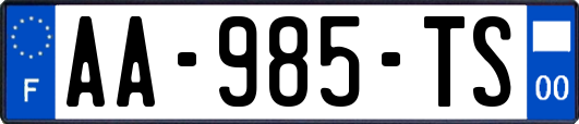 AA-985-TS