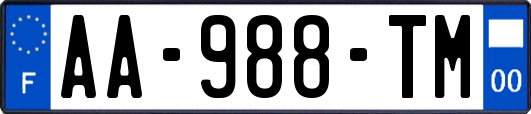 AA-988-TM