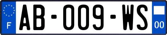 AB-009-WS