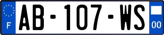 AB-107-WS
