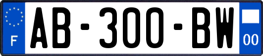 AB-300-BW