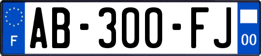 AB-300-FJ