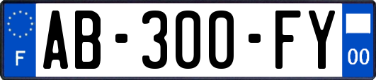 AB-300-FY