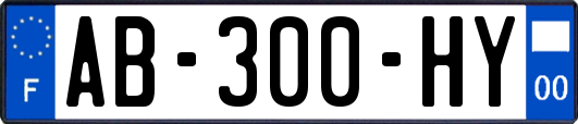 AB-300-HY