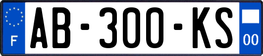 AB-300-KS