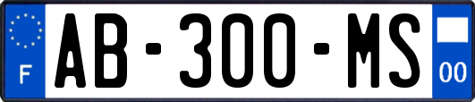 AB-300-MS