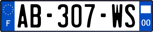 AB-307-WS