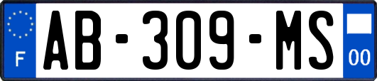 AB-309-MS