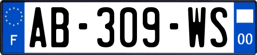 AB-309-WS