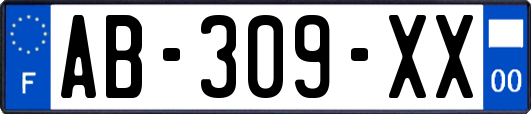 AB-309-XX