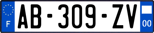 AB-309-ZV